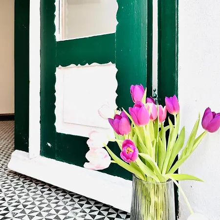 Apartments-am-wellenreiter-kuestenstudio